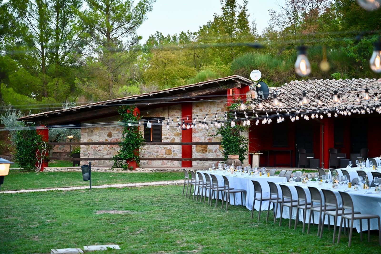 Gli uliveti del Poggio dei Pettirossi